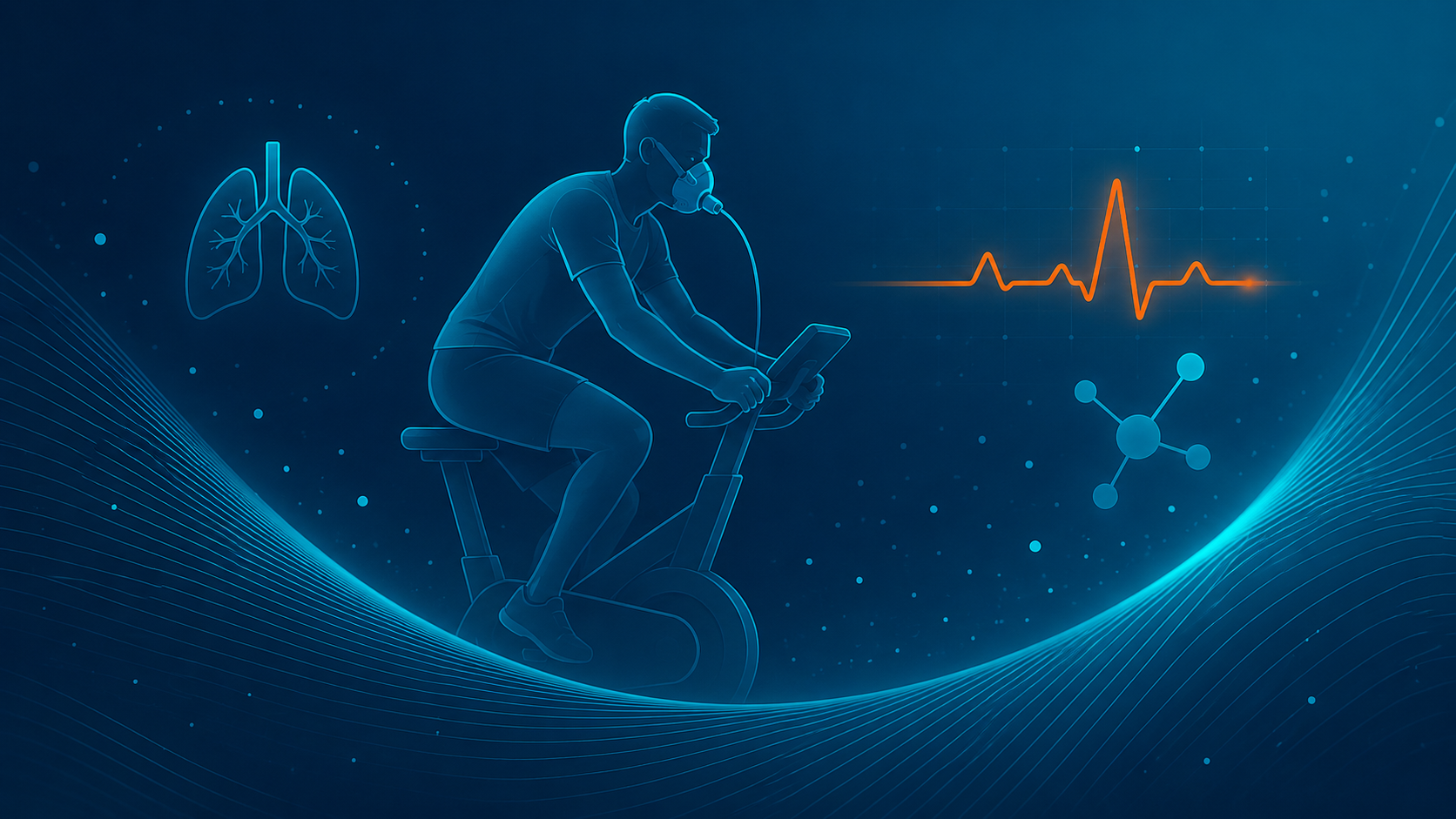 vo2max en uithoudingsvermogen